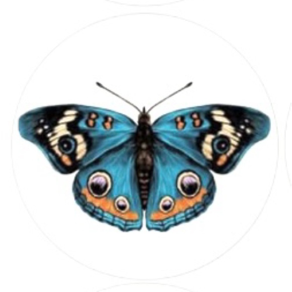 Meet your Posher, Jami - Picture 1 of 1